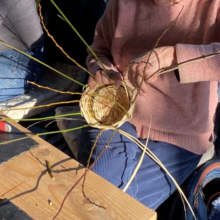 fabrication d'une corbeille en saule et cornouillier sanguin