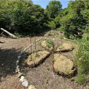 reportage sur le plessis au jardin pédagogique du temps des savoir-faire