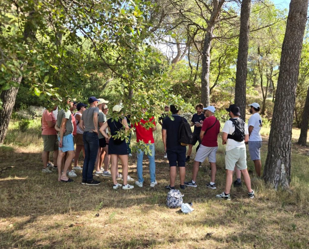 Team building nature en provence