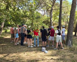 Team building nature en provence